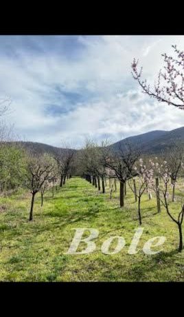 33/2026 PLAC POTES-KOZLUK