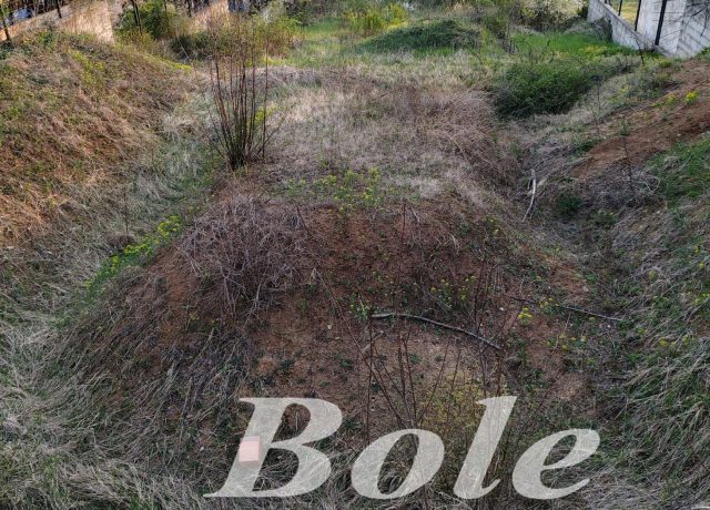 50/2026 PLAC-PODNOŽJE VRŠAČKOG BREGA