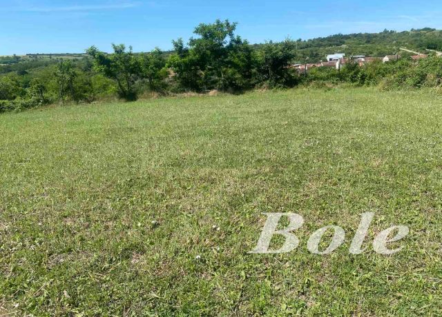 61/2026 PLAC-SOČICA